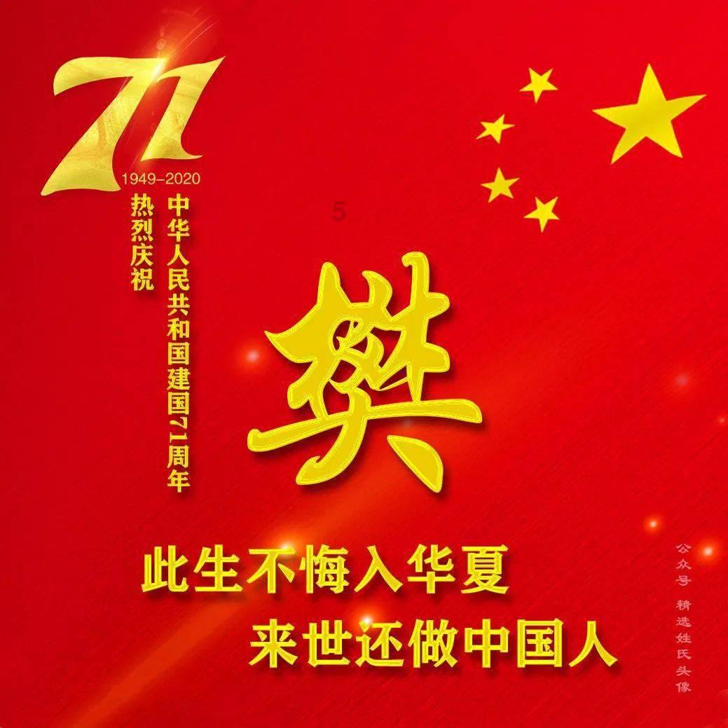 玄凤鹦鹉刚出生四个月能摸吗？游戏画面